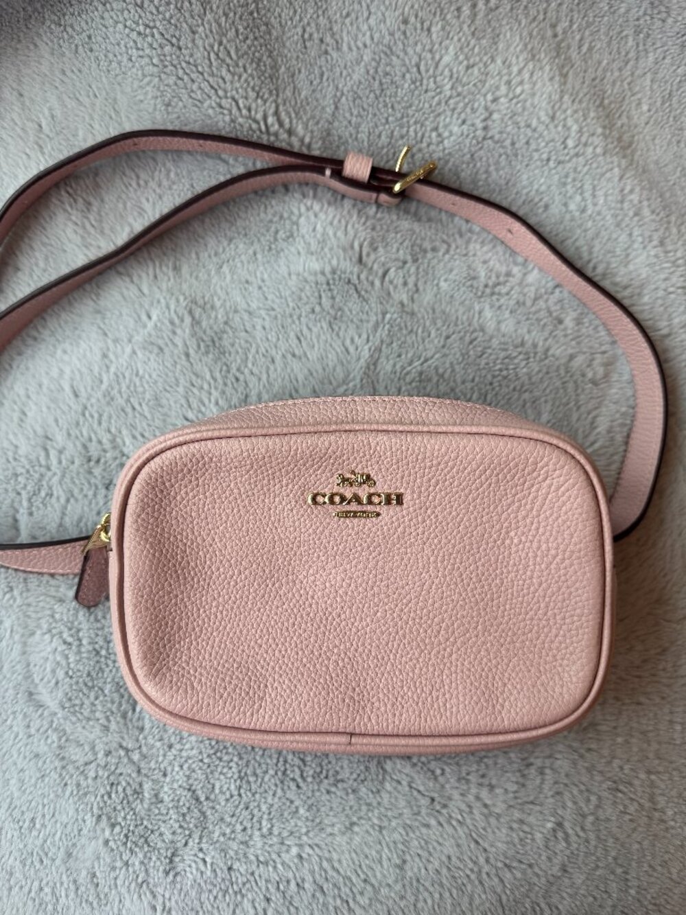 Coach Polished Pebble Leather Belt Bag